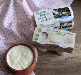 Yaourts fermiers natures au lait de brebis ou au lait de chèvre
