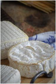 Fromages au lait cru de vaches normandes, à croûtes fleuries