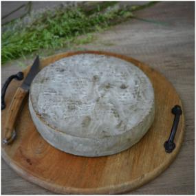 Saint-Nectaire AOP fromage fermier à pâte molle au lait cru de vache