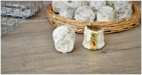 Chabichou du Poitou AOP fromage fermier au lait de chèvre produit affiné